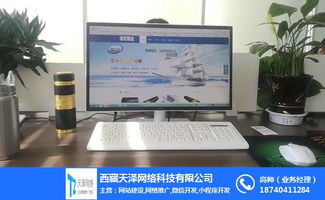 網絡推廣,拉薩微信程序開發,天澤網絡 優質商家